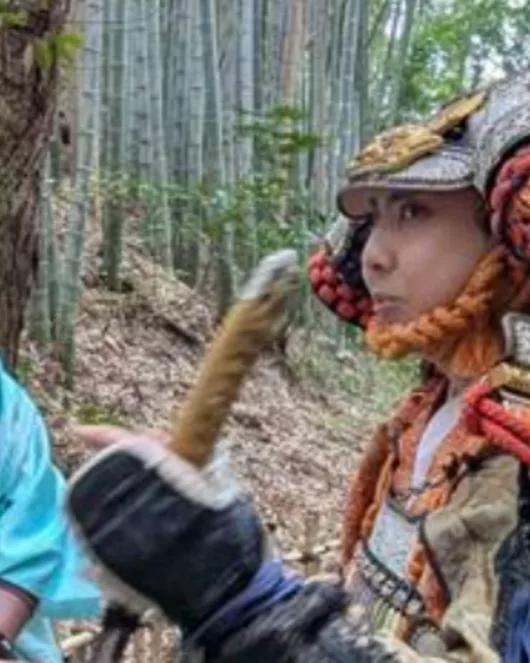 附特別武士導覽的和服漫步